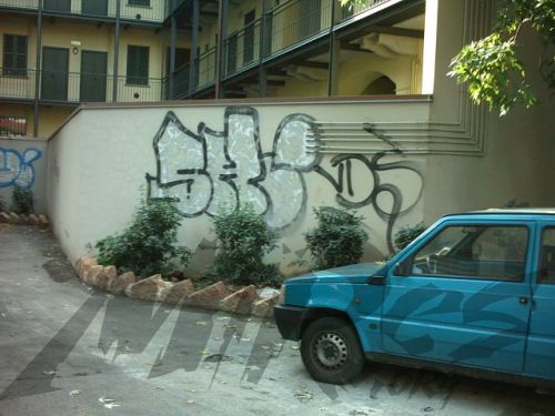 SHAMPO VDS FIA